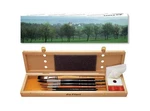 Da Vinci Watercolor Series 5240 Deluxe Paint Brush Set, Natural Hair And Synt.... Fixed Price $268.67.