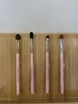 Echo Natural Goat Hair Eyeshadow Blend Nose Shader Concealer Makeup Brush Set. Fixed Price $18.99.