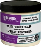 Beyond Paint BP37 Multi Purpose Sealer 1 Pint, Clear. Fixed Price $46.52.