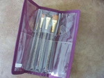 Folk Art One Stroke Professional Set W/brush Case 1279 Nip 5 Pcs. Fixed Price $24.95.