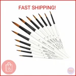 Dainayw 12 Pcs Round Paint Brushes Set, Artist For Acrylic Watercolor Oil. Fixed Price $12.09.