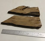 Slices Of Irish Walnut Wood X 1/2'' 7''- 50MM 12.5MM 175MM. Fixed Price $22.00.