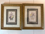 Set Of Two 9 1/2 X 11.5 French Style Framed Floral Prints, Gold Frames. Fixed Price $75.00.