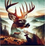 Sanjee Deer Diamond Art Kits For Adults, 12INCH*12INCH, Multicolored. Fixed Price $13.99.