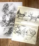 Tri-chem Ready To Paint Fabric Art Deer Lot 7772 0486 Winter Scenes Wildlife. Fixed Price $24.95.
