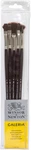 Galeria Long Handle Brush (5 Pack) (round 8, Flat Filbert Bright Fan 5). Fixed Price $77.99.