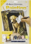 Royal Brush Junior Small Paint By Number Kit 8.75"X11.75"-LABRADOR Pup (3PK). Fixed Price $19.23.