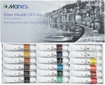 Water Soluble Oil Color Paint Set 12ML Tubes Solvent-free Assorted Colo.... Fixed Price $32.00.