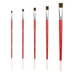 XDT#747 Bright Artist Paint Brush 5 Piece Set Medium Soft Mixed Red Sable Weasel. Fixed Price $9.99.