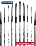 Nicpro 10 Pcs Watercolor Brushes, Round Tip Artist Painting Set For. Fixed Price $16.86.