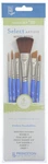 Princeton Brush Set 6/PKG-SELECT 20 5A002ZR0-1H16D. Fixed Price $26.75.