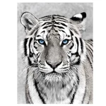 Naimoer Tiger Diamond Art Kits For ADULTS,5D 30X40 Cm, 1. Fixed Price $11.99.
