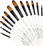 Dainayw 12 Pcs Filbert Paint Brushes Set, Artist For White. Fixed Price $13.35.