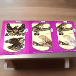 Nos 3 Pkgs Meyercord Decal TRANSFERS-1918 Spad/fokker Planes-&-american Eagles. Fixed Price $12.95.
