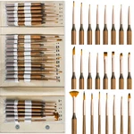 Nicpro 24PCS Extreme Miniature Detail Brushes, Fine Tip Micro Set With Handbag. Fixed Price $26.99.