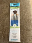 Princeton Select 6PC Value Set #20 Round Oval Mop Angle Flat Shader Filbert Line. Fixed Price $7.99.