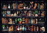 Bookshelf Diamond Painting Kits For Adults,goth Skull Art. Fixed Price $15.99.