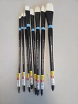 (8) Princeton Aspen Long Handle Oil Paint Brushes Brand New. Fixed Price $60.00.