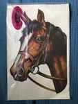 Nos Meyercord Full Color Large Horse Water Decal Stallion Mare 9"X6" #1503-A. Fixed Price $8.05.