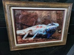 9.5INX14.25IN Lizard Picture 14X18.5 Wood Frame. Fixed Price $17.48.