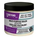 Beyond Paint BP37 Multi Purpose Sealer. Fixed Price $55.47.
