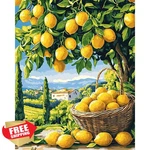 Qenspe Paint By Numbers Kit Lemons Adults Beginners Canvas 16X20 Inch Art. Fixed Price $20.00.