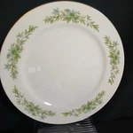 Set Of Creative Manor Dinner Plates 10 1/4" Gardens Glory #9169. Fixed Price $16.00.