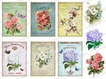 Vintage Image Victorian Flower Assortment Roses Labels Waterslide Decals FL345. Fixed Price $13.99.