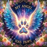 Zhudengxjl My Angel Has Paws 5D Diamond Painting Kits For Adults, DZ787. Fixed Price $17.65.