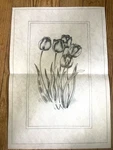 Tri-chem Ready To Paint Fabric Art Tulips 7658-T Flower Vtg. Fixed Price $14.95.