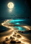 Kinplub Moonlight Beach Diamond Painting Kits For Adults, 5D Seaside. Fixed Price $16.18.