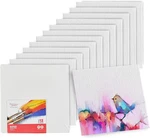 All-purpose 12-PACK 10X10 White Canvas Boards For Oil, Acrylic & Watercolor. Fixed Price $19.77.