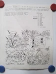 Vintage Tri Chem Picture To Paint Felt Usa Poster Owl Turtle Fish Caterpillar. Fixed Price $17.95.