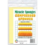 Color Wheel Miracle Sponges 4X6". Fixed Price $16.99.