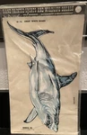 Vtg Decoral Hand Painted Sports Wildlife Decal Great White Shark 1977. Fixed Price $14.99.