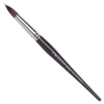 Winsor & Newton Galeria Round Short Handle Brush Size 16 Acrylic Oil Watercolor. Fixed Price $88.68.