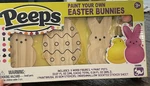 Peeps Paint Your Own Easter Bunnies 3 Wood Figures And 4 Pots Withstickers. Fixed Price $12.99.