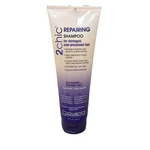 Giovanni 2CHIC Repairing Shampoo Damaged Over-processed Hair Blackberry Coconut. Fixed Price $10.99.