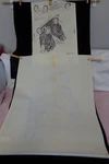Vintage Artex / Tri-chem Liquid Paint Embroidery Picture Zebra. Fixed Price $14.99.
