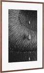 Picture Frame, Solid Wood Walnut Poster Frame-horizontal A.... Fixed Price $64.70.