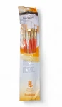 Princeton Synthetic White Taklon Real Value Set 5 Brushes--new. Fixed Price $10.00.