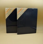 Lot Of 2 Crafter's Square Stretched Canvas "8X10IN" 100% Natural Cotton. Fixed Price $15.40.
