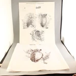 Three 14 Inch Different Owl Bird Quilt Blocks Tri Chem Liquid Embroidery #8419. Fixed Price $16.00.