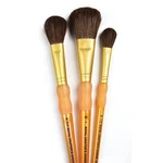 Brush Set Camel 3/PKG-MOP. Fixed Price $14.54.