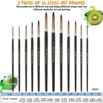 12PCS Artist Paint Brushes Set Professional Wooden Oil Acrylic Water Color. Fixed Price $34.49.