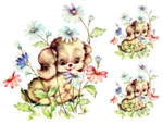 Vintage Image Retro Shabby Puppy Dog And Flowers Waterslide Decals AN802. Fixed Price $13.99.