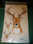 New Vintage 1986 Decorcal Hand Painted Sports & Wildlife Deer Head Decal W31. Fixed Price $16.99.
