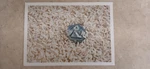 Edward Poitras Wood, Paint, Rice, Dollar Bills, Cloth, Rope-home And Garden. Fixed Price $8.00.