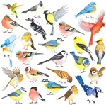 Decowall DS4-8063 25 Little Birds Art Decals Stickers Kids Multicolor. Fixed Price $17.30.