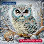 Suutang 5D Special Shape Owl Diamond Art Painting Kits For Adults, Crystal Rhine. Fixed Price $16.18.